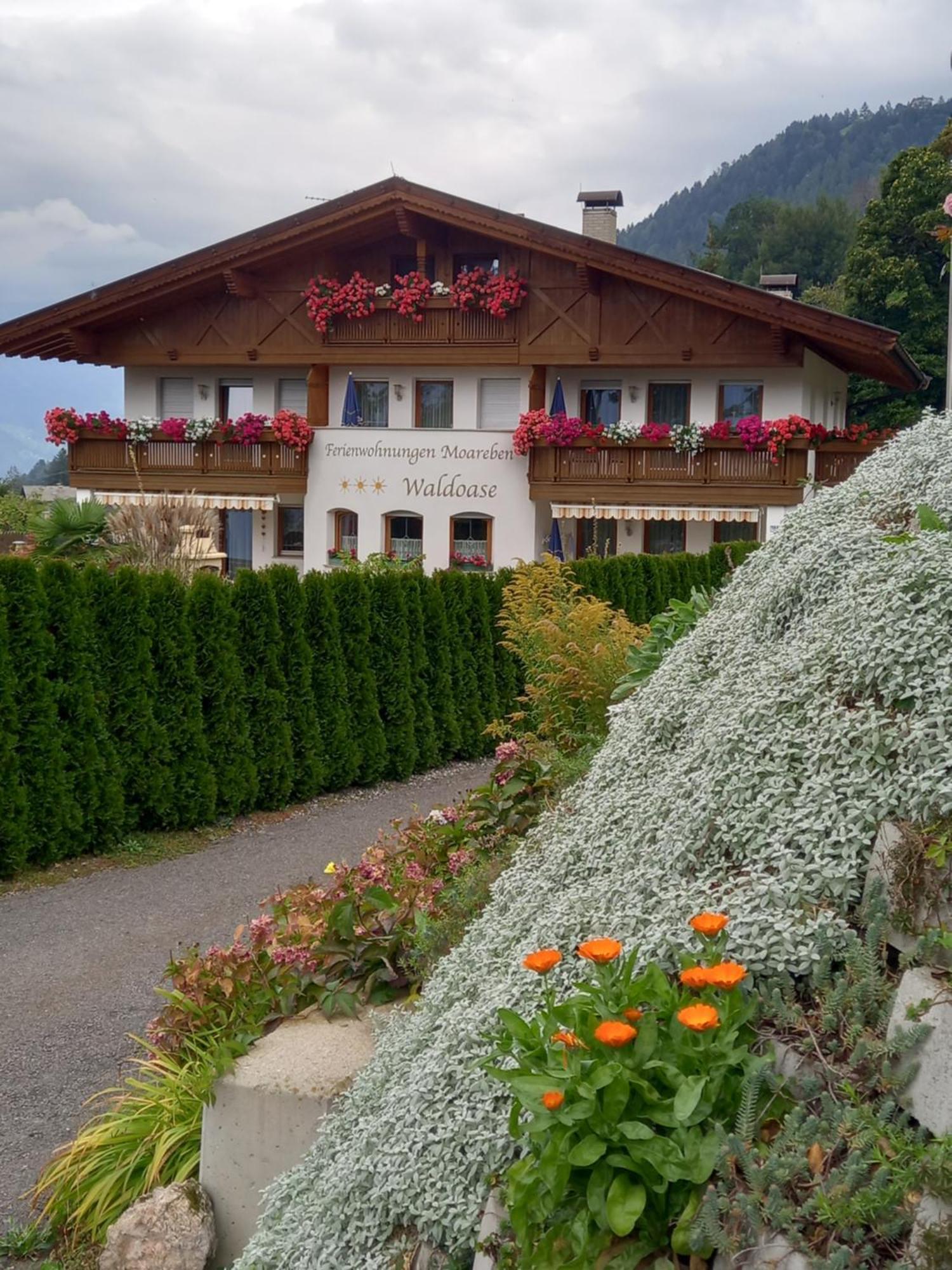 Ferienwohnung Waldoase Schenna Exterior foto